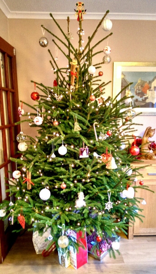 171023775452a4e87aeaada5.75576591