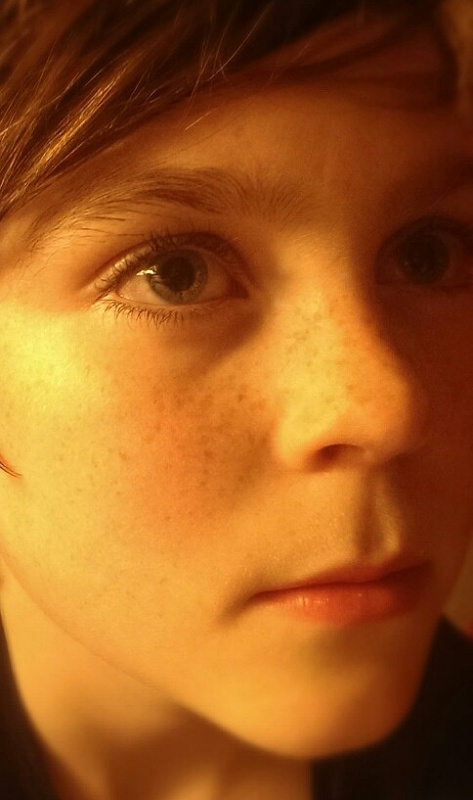 117723664252e0443676b112.59347626