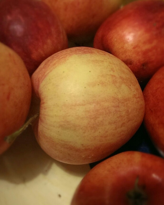 173636145652fa9019301451.06620455