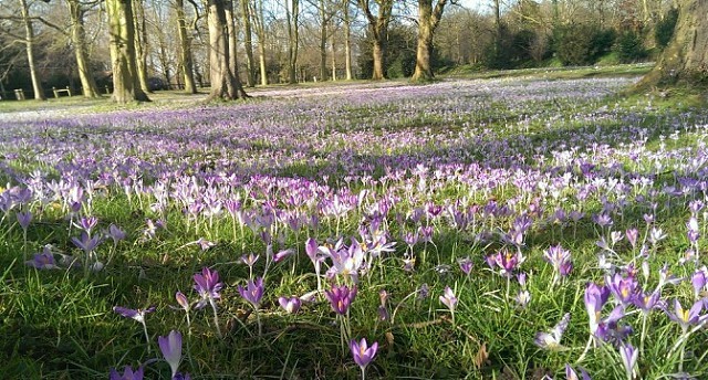 4016069725304d37713ec12.40359554