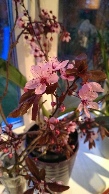 112649402531e3777533ee7.98002767