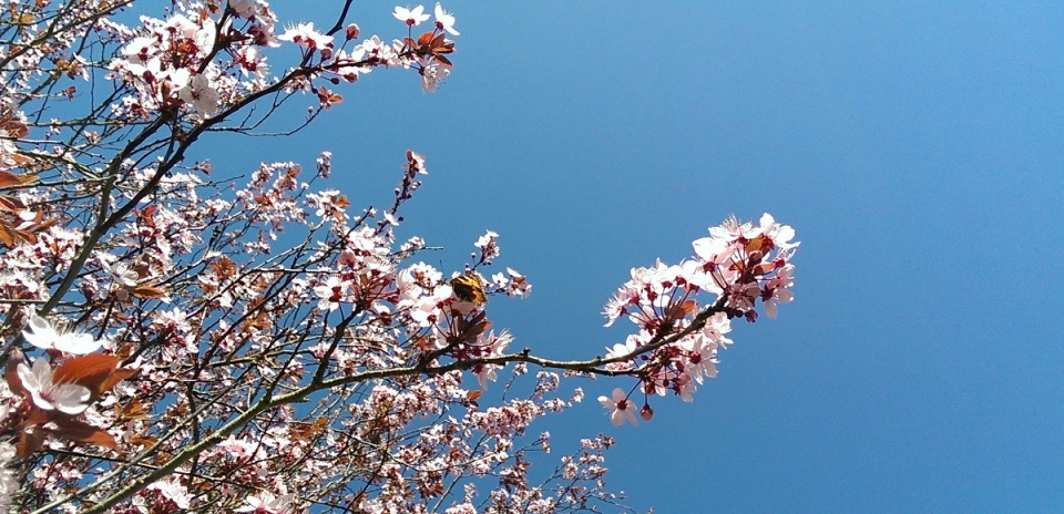 19337746565326190d6daaf8.63009557