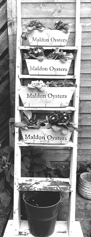 20204190885327439b5a57d3.95963262