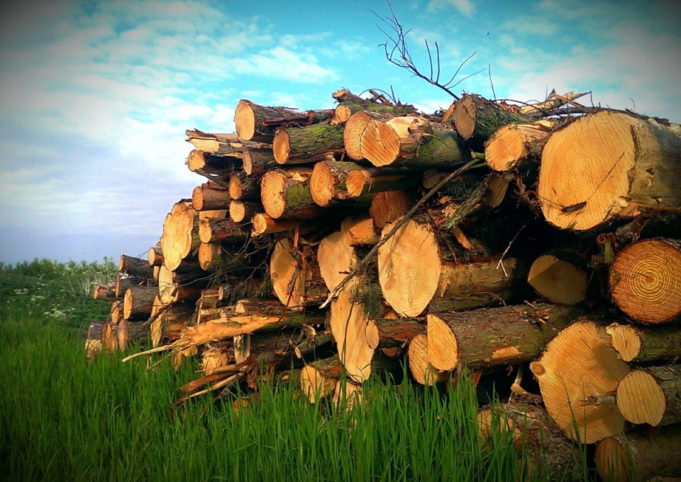 743449078535fdeced603e3.83795702