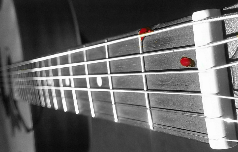 205479280353750ebb3d5c98.12528207