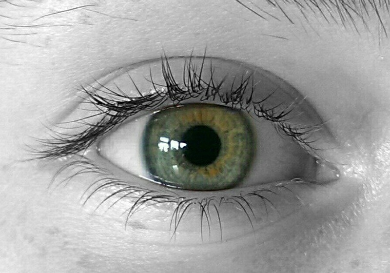 54705007853729c8fc22571.04329179