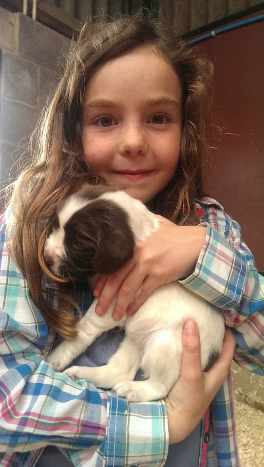 21523303153b05af0b593e8.45067113