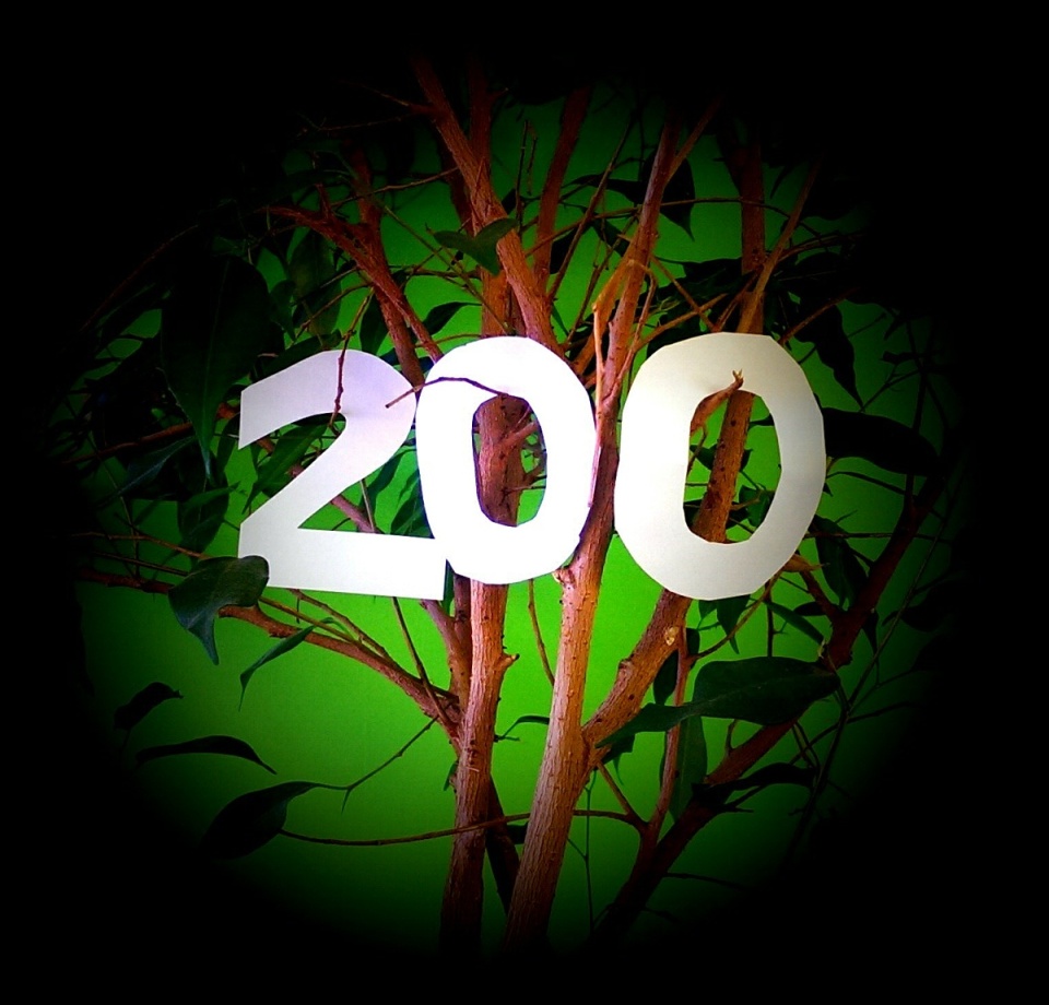 81604722753a32c683bb0e4.98173994