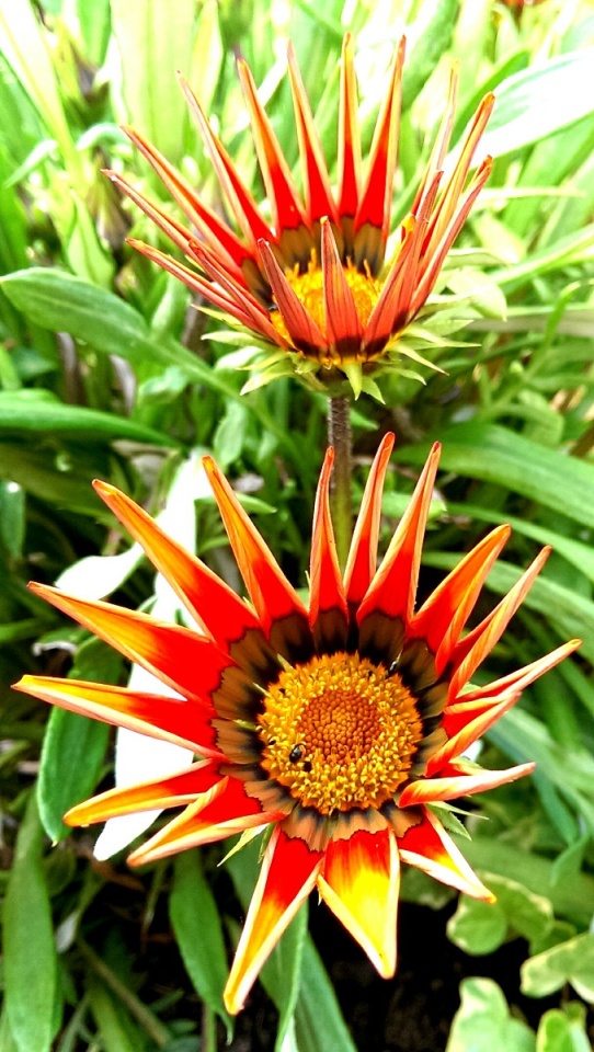 96643072353a713de1daad5.05006021