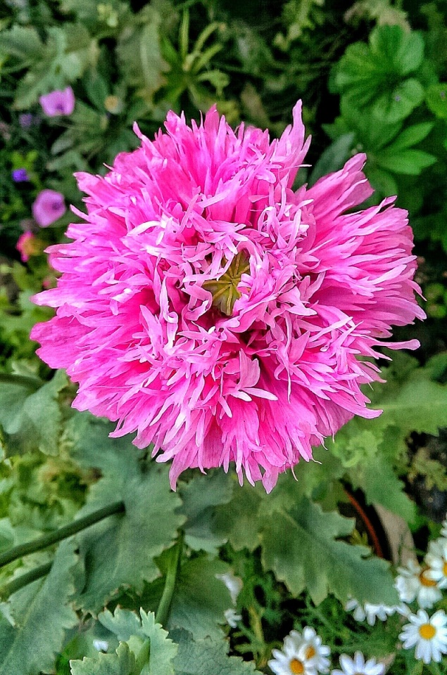 109295721253c58c4126c724.20497186