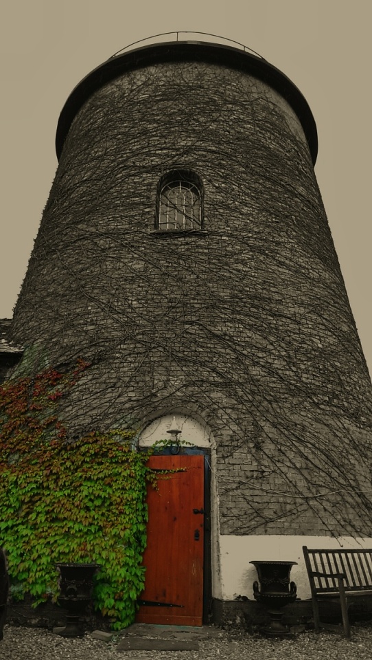 119093752653c7957a49a7b2.17867446