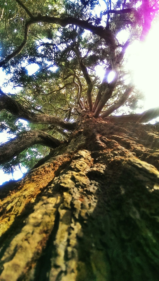 127473316053c14ffe927ae4.21290559