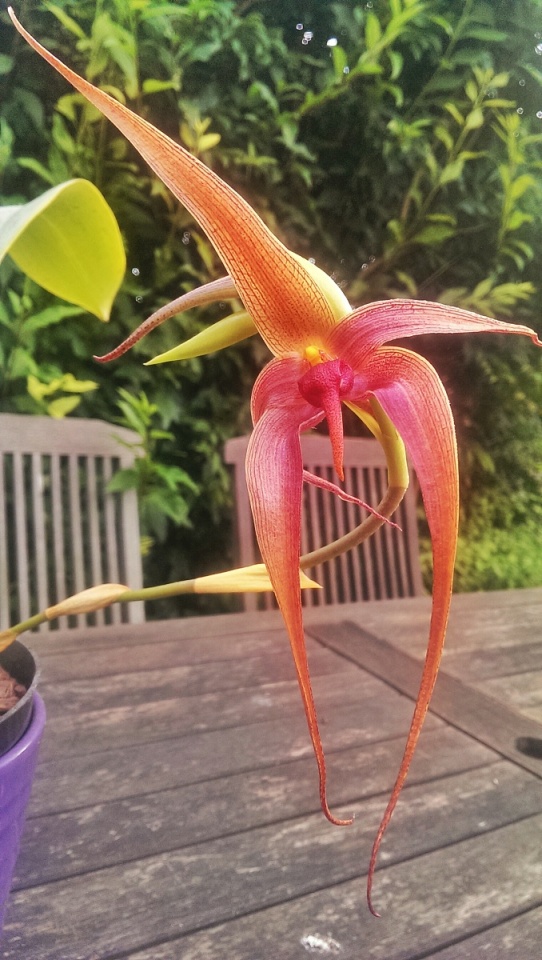 153292093453b9b059cddbc6.16070815