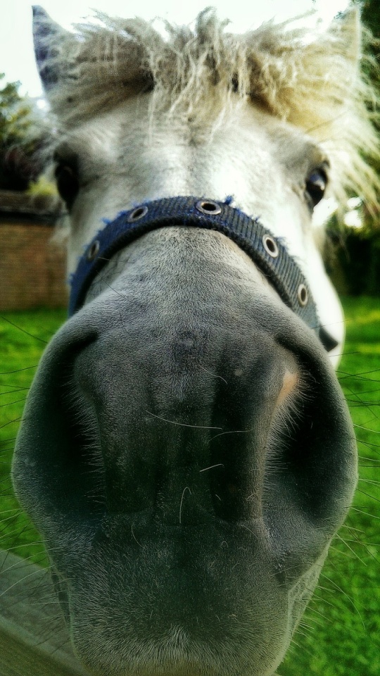 35124616553b5c94359ab40.00081075