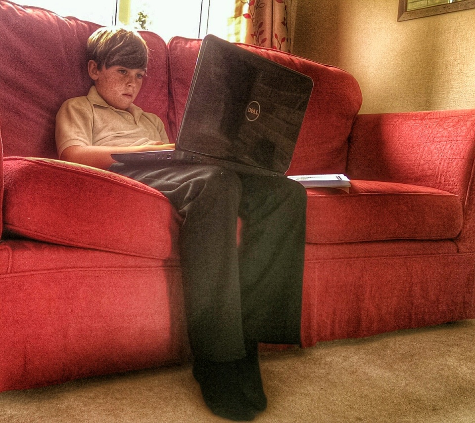 80116277453bac254ddf8f5.64219173