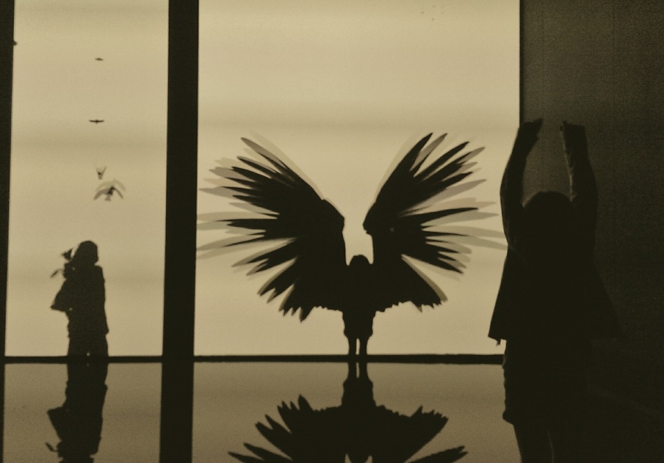 100610063853f8f1c9689355.34716719