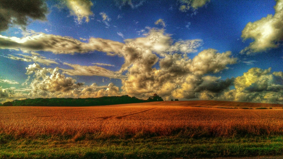 114153178153e92aaf0ed732.47206802