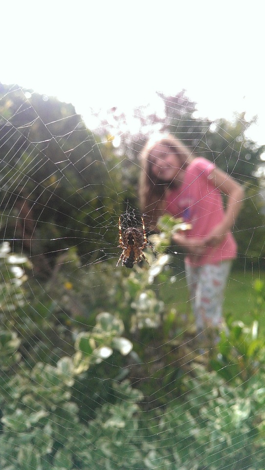 110326444154266978881d93.72983635