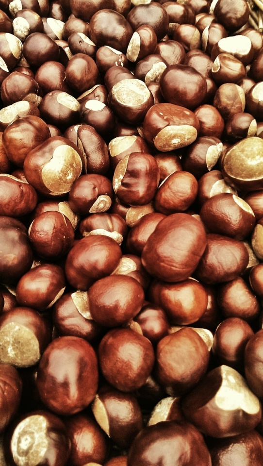 12056854554299b9cbac8f8.09301865