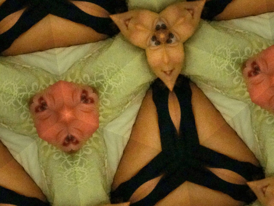 138718567541215bc9049c8.72925331