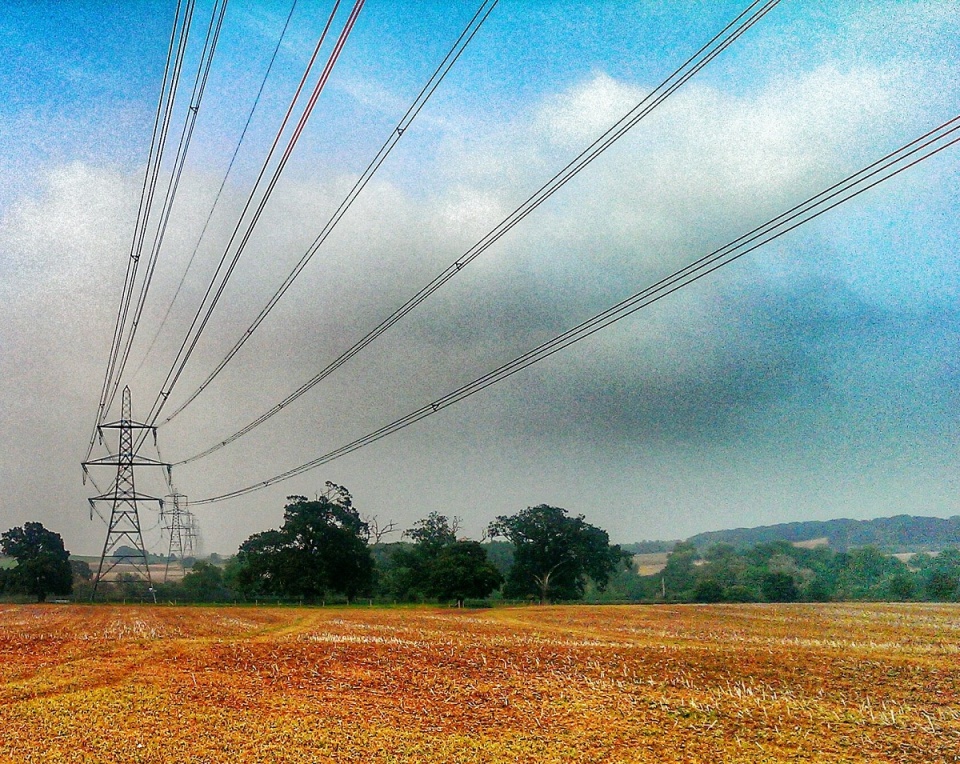 18810763845419c4a77ac221.85179616