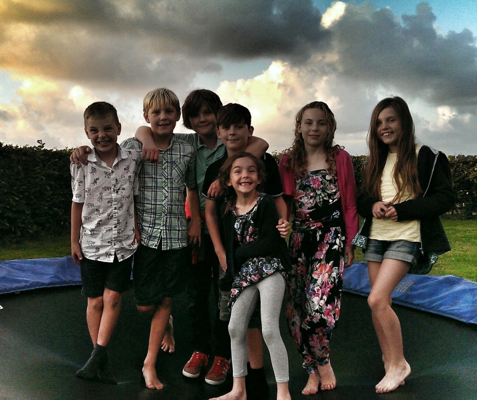 6233482705413f7d81b08f3.73596885