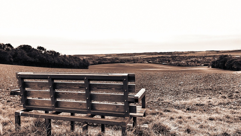 1246595137543a8cce6a0fd0.18946599