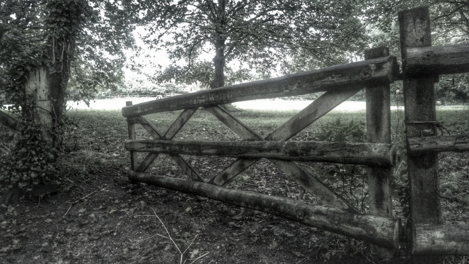 1863492402543c121f12ce36.29700453