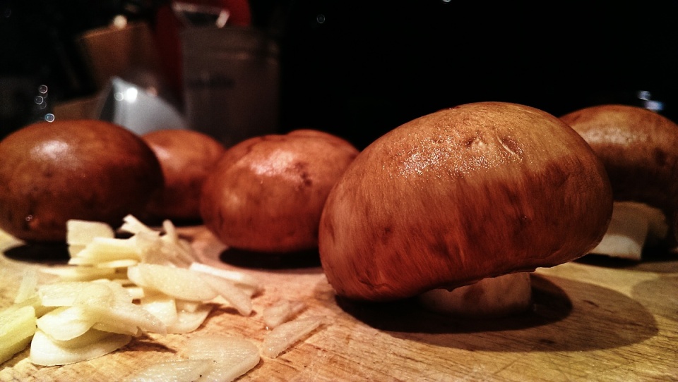 19863107935436f8312c40e6.66749785