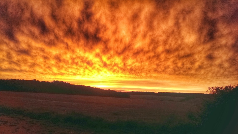 2273949155432efdf1e8ca7.65385437