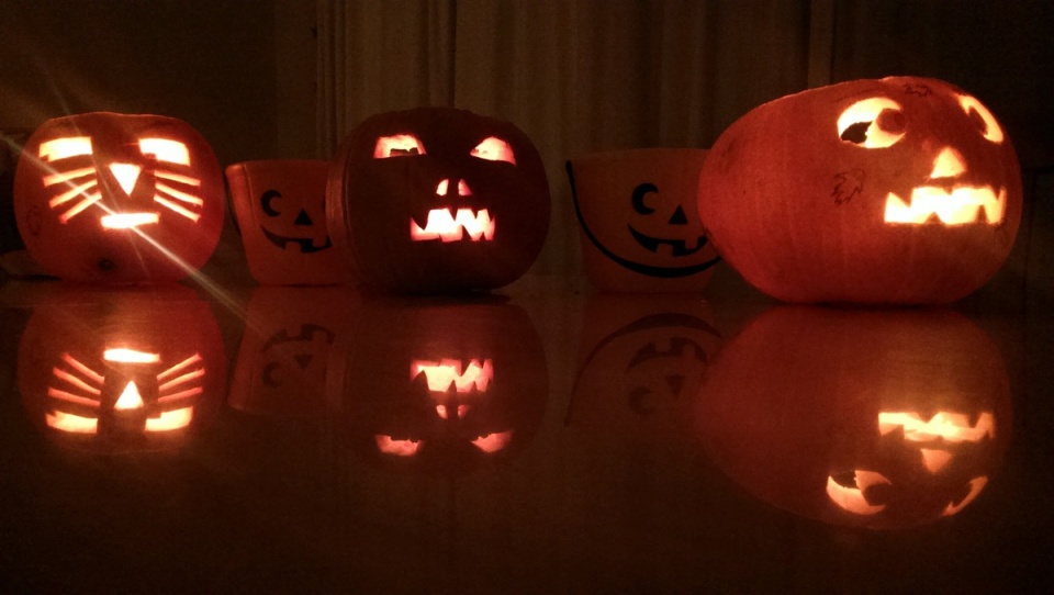 8533025125452899a35c1d5.07831654