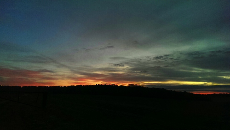 123649552054759a878d4fa3.72010600