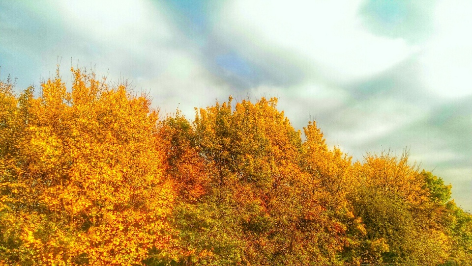 1259034331545670ab84db23.05375639