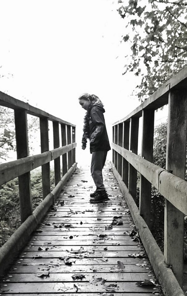 16830307545468a7d364bba3.13385744